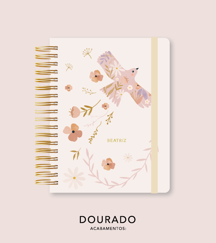 Capa + Espiral Colegial The Rabbit 002 | com Bolso e Divisórias