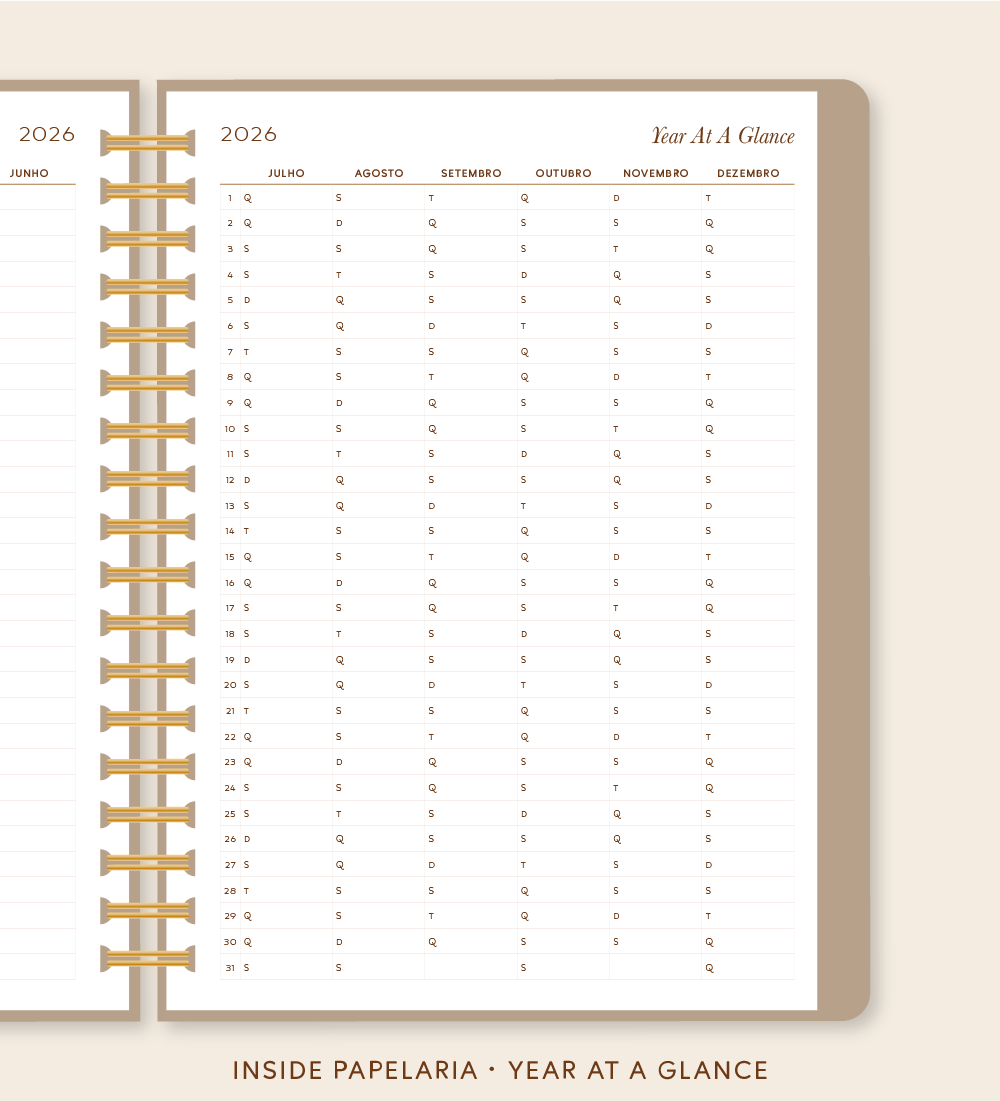 Insert Planner - Year At a Glance | 120g/m²