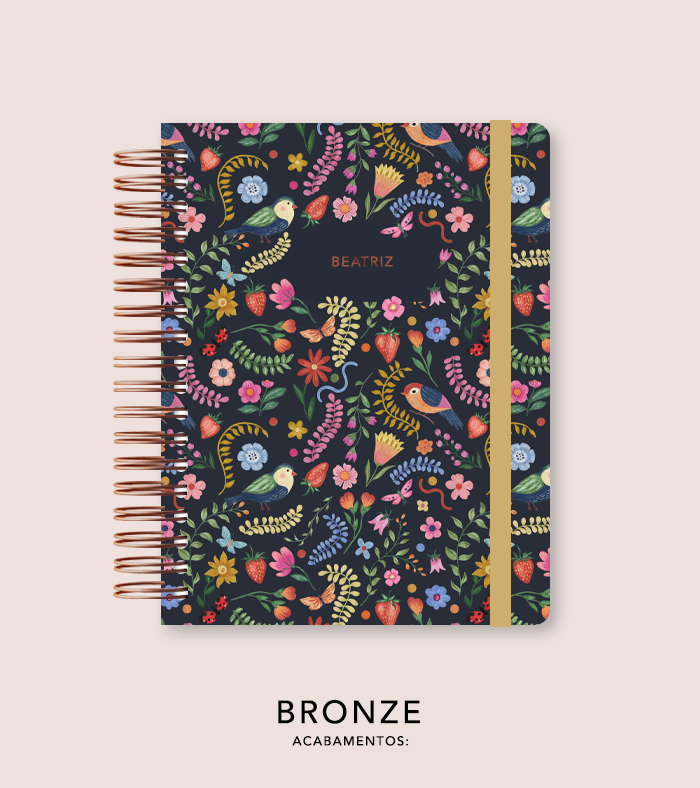 Capa + Espiral - Folk Story