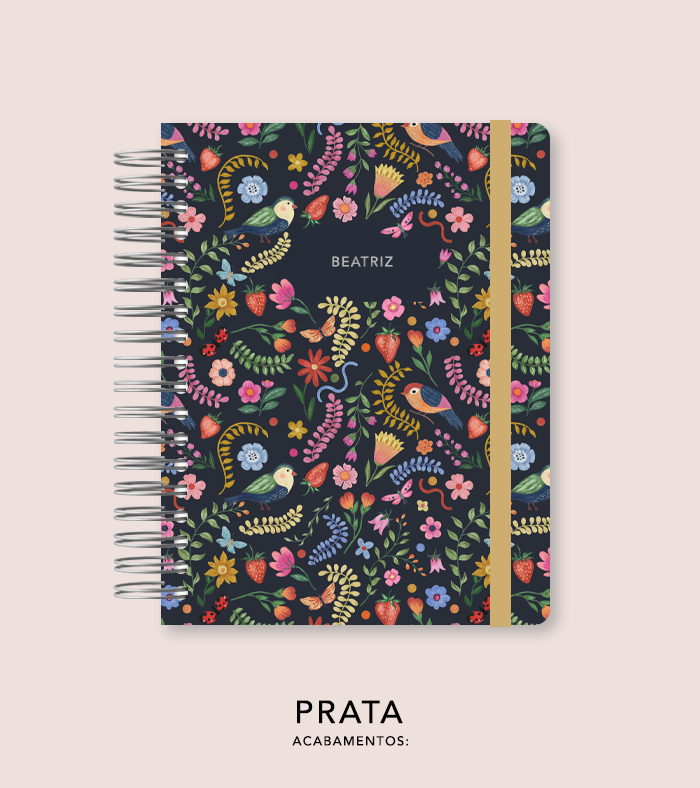 Capa + Espiral - Folk Story