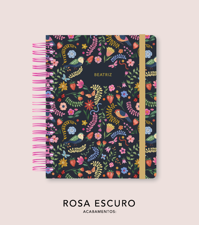 Capa + Espiral - Folk Story