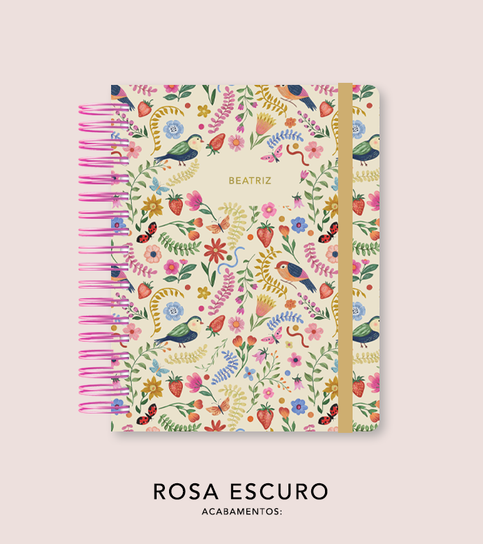 Capa + Espiral - Folk Story