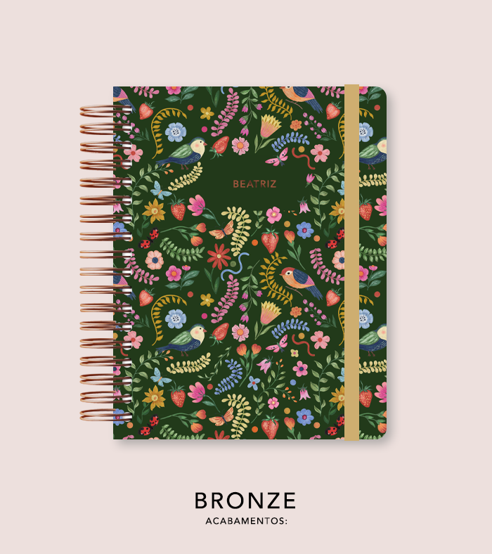 Capa + Espiral - Folk Story