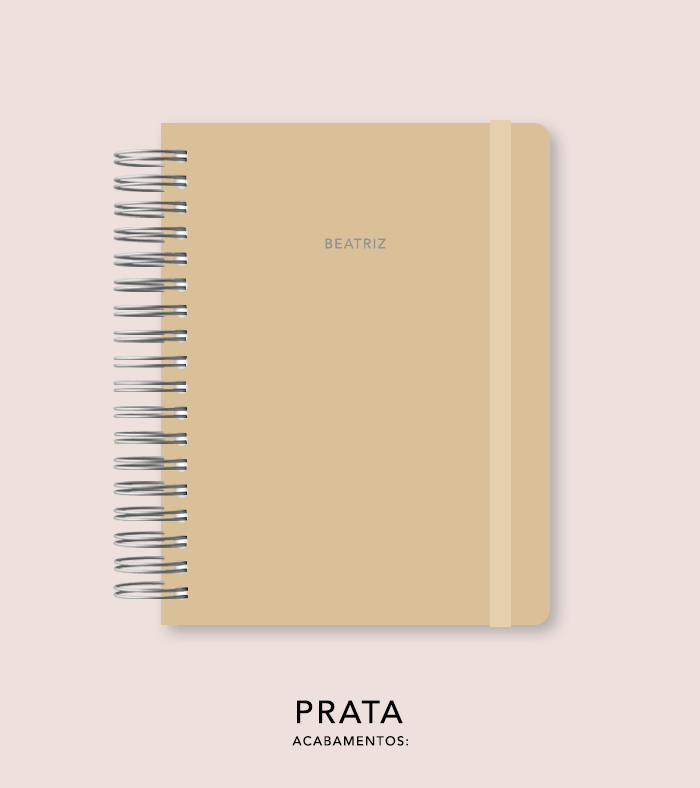 Capa + Espiral Colegial Biscotti | com Bolso e Divisórias