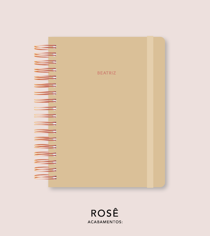 Capa + Espiral Colegial Biscotti | com Bolso e Divisórias