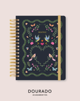 Capa + Espiral - Folk Story