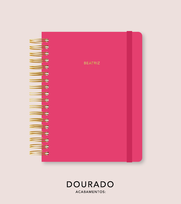 Capa + Espiral Colegial Red Wine | com Bolso e Divisórias