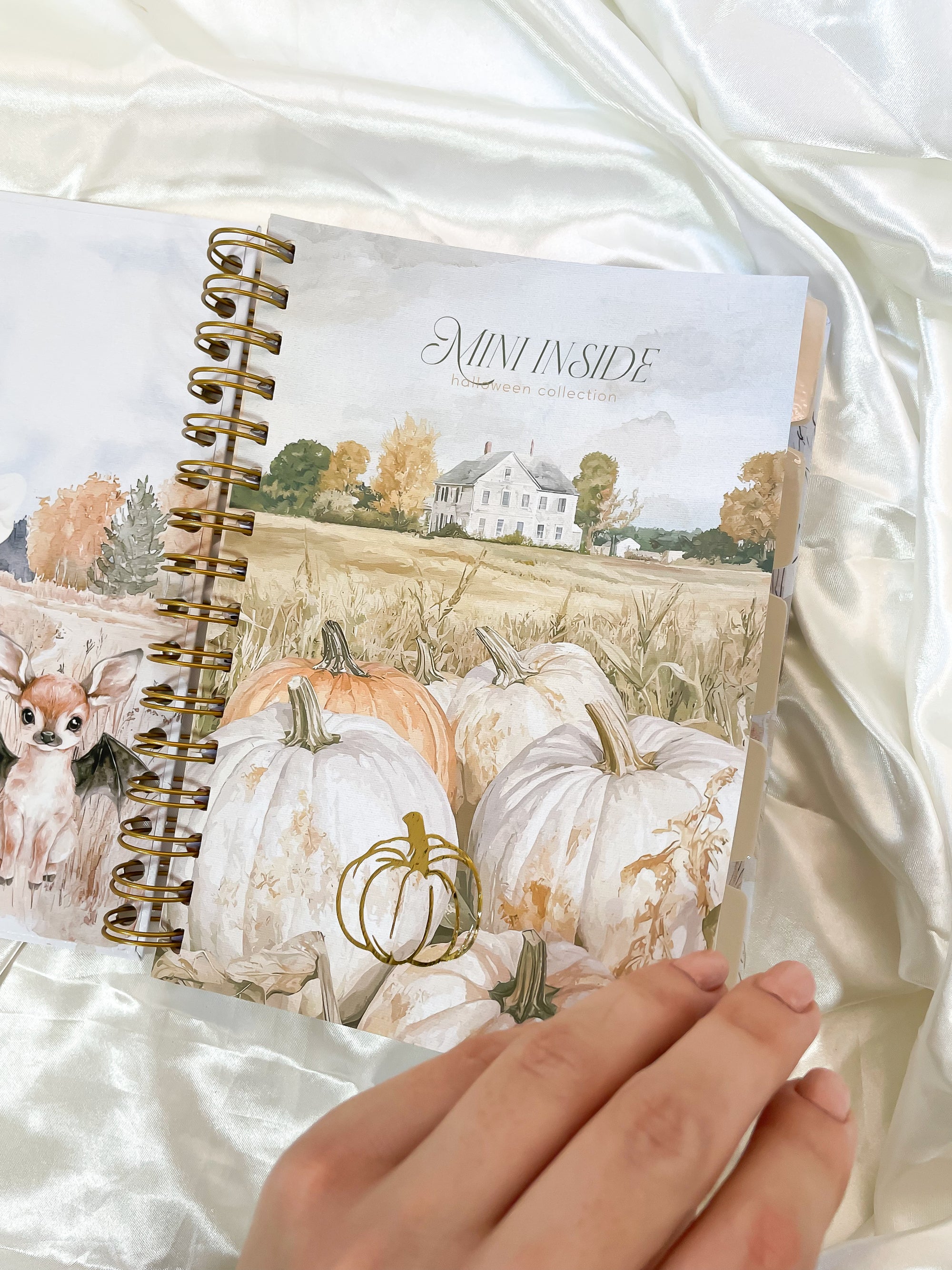 Inside Book - Caderno Colegial
