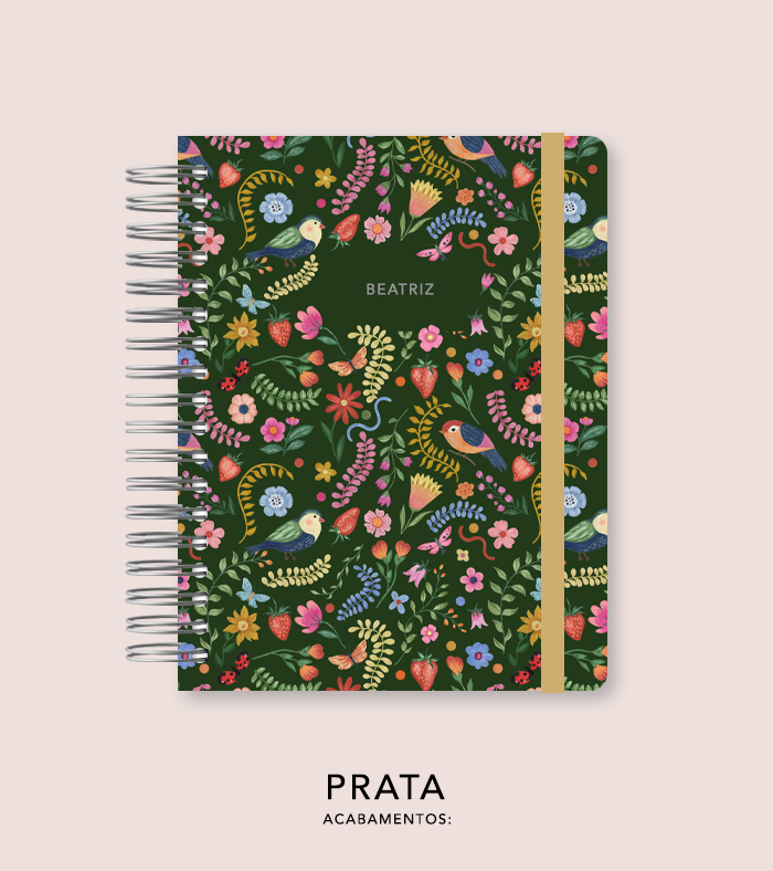 Capa + Espiral - Folk Story
