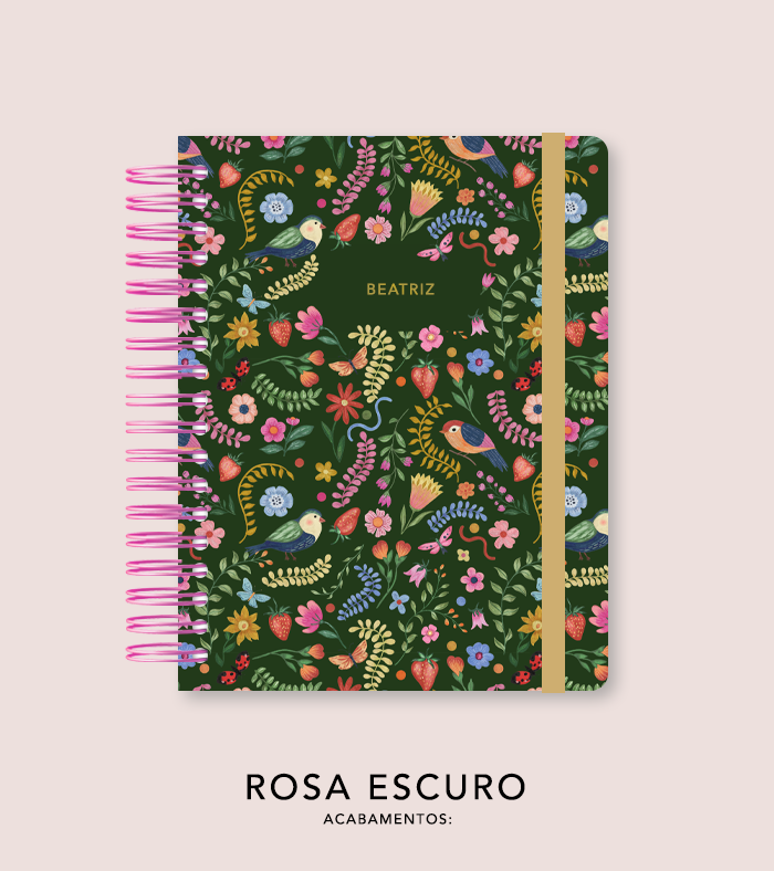 Capa + Espiral - Folk Story