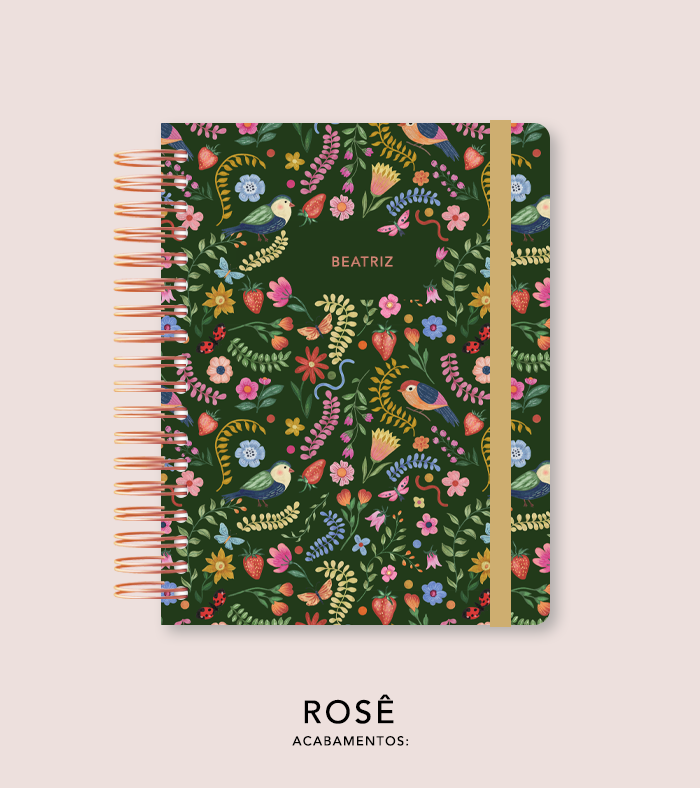 Capa + Espiral - Folk Story